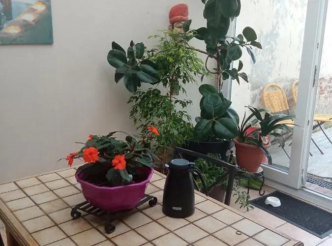 Chambre Dans Maison Coquette Et Accueillante